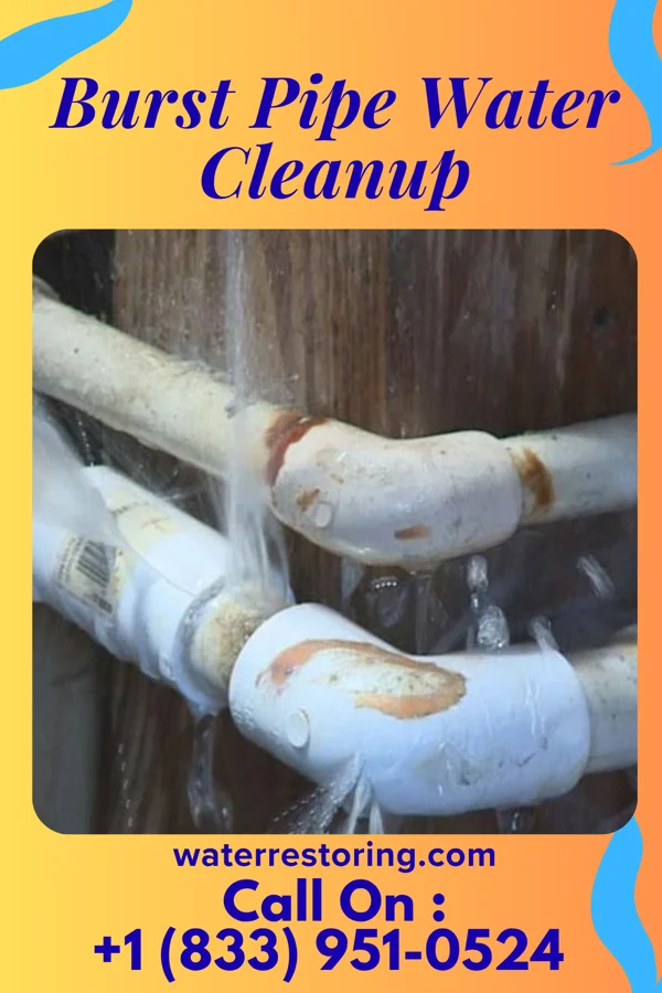 Burst Pipe Water Cleanup in Atmore, AL